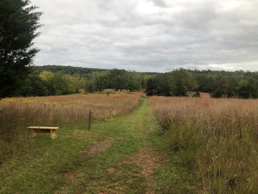 A trail at the Appomattox Court House National Battlefield Park